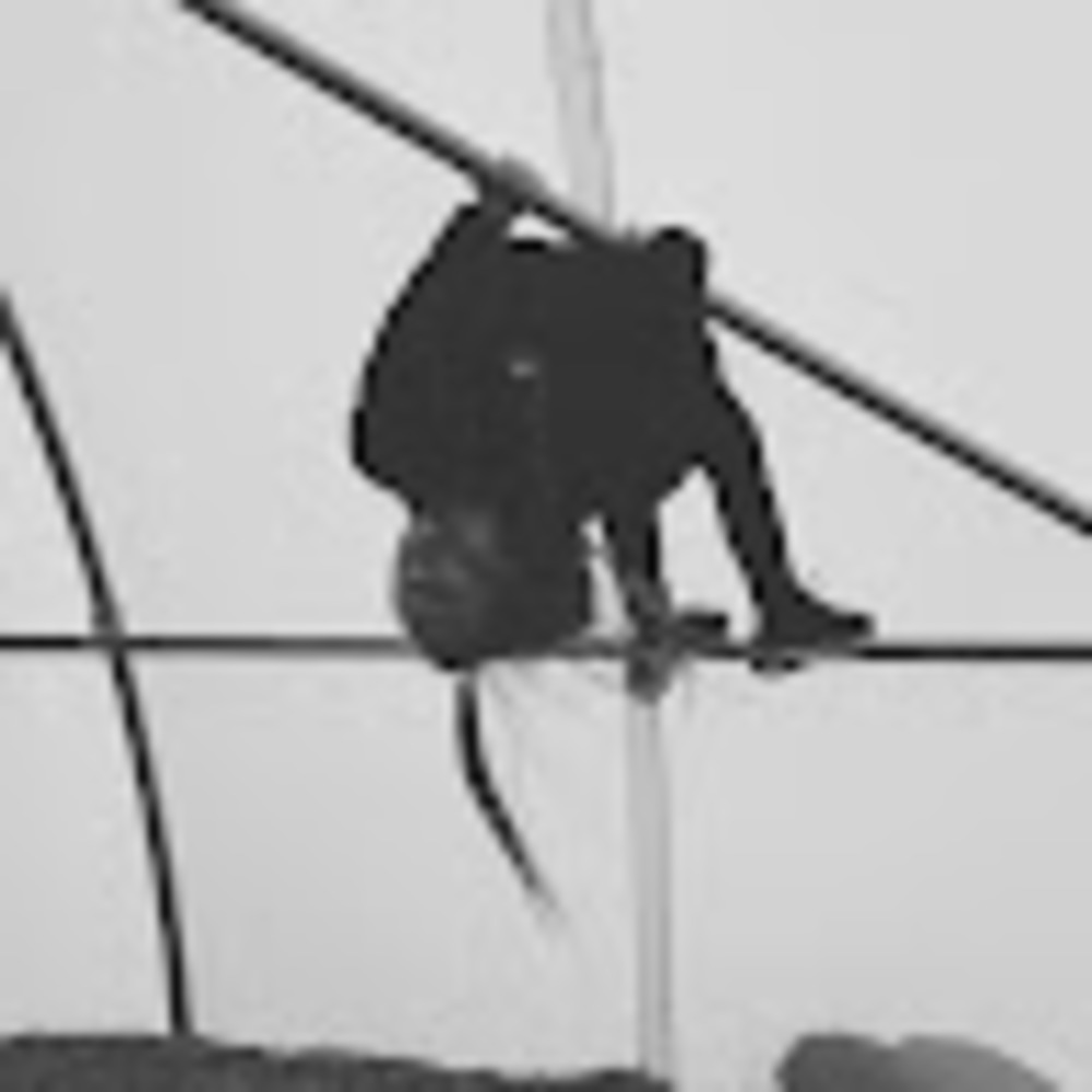 Meet your Posher, Paige